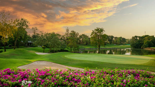 Backyard Par 3 Golf Hole