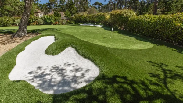 Backyard Putting Green vs. Chipping Green